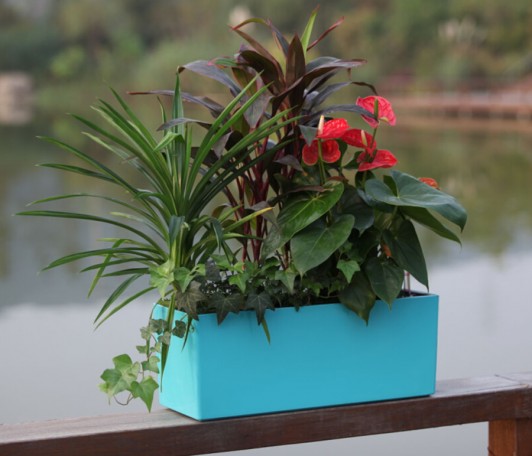 Glossy Rectangle Balcony Flower Planters WB-01 | GreenPlanet Kerala