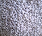 White Unpolished Pebbles | GreenPlanet Kerala